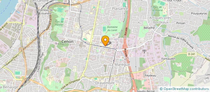 localisation de l'entreprise MONSIEUR REDOUANE BOUIZEM  CENON