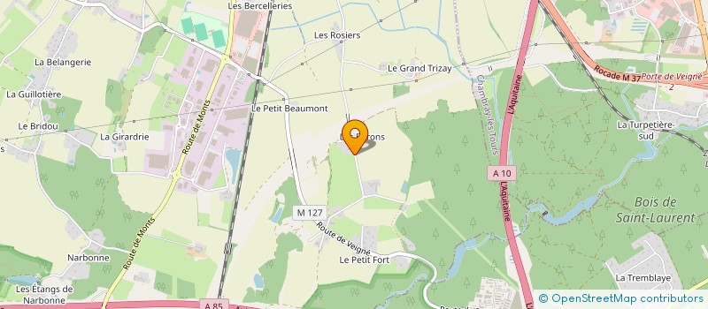 localisation de l'entreprise MONSIEUR REGINALD ROUSSEL  JOUE-LES-TOURS