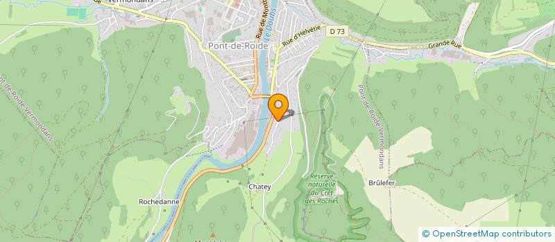 localisation de l'entreprise MONSIEUR REGIS BARON  PONT-DE-ROIDE-VERMONDANS