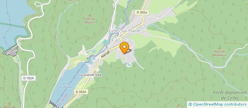 localisation de l'entreprise MONSIEUR REGIS COUSOT  CELLES-SUR-PLAINE