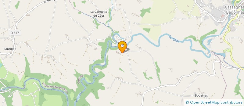 localisation de l'entreprise MONSIEUR REGIS DAURES  CASSAGNES-BEGONHES