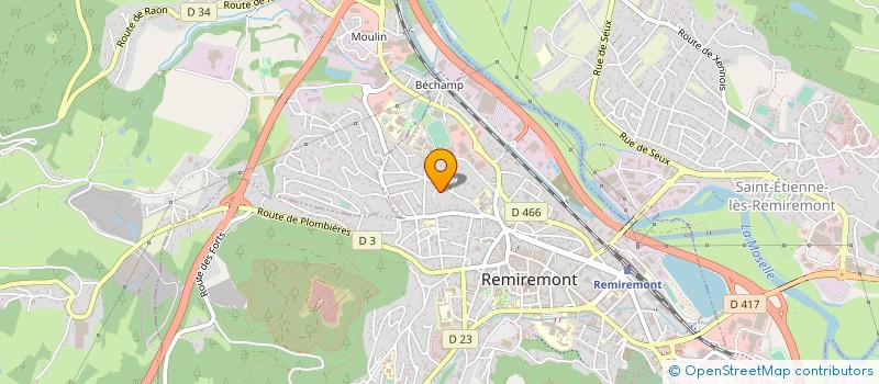 localisation de l'entreprise MONSIEUR REGIS DELLUPO à REMIREMONT
