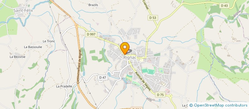 localisation de l'entreprise MONSIEUR REGIS FERNANDEZ  RIGNAC