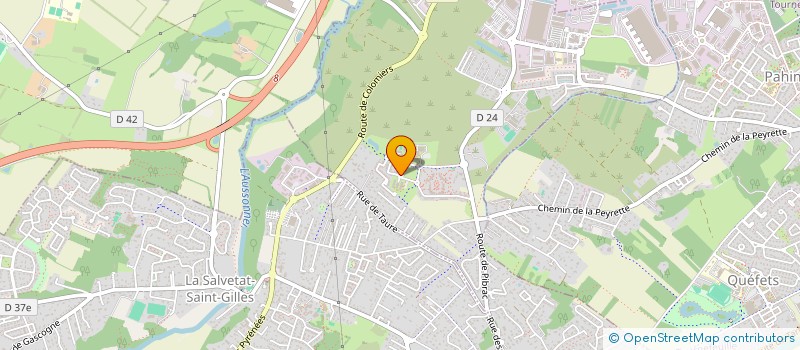 localisation de l'entreprise MONSIEUR REGIS FRANCES  PLAISANCE-DU-TOUCH