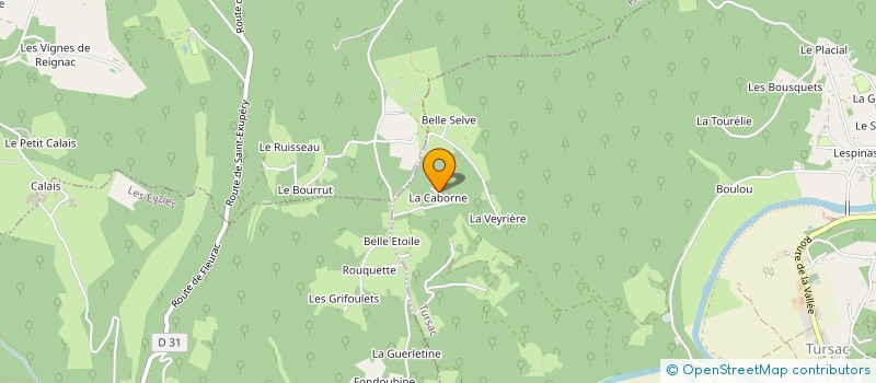 localisation de l'entreprise MONSIEUR REGIS GAGNADRE  TURSAC