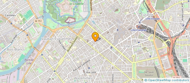 localisation de l'entreprise MONSIEUR REGIS GREVET à LILLE