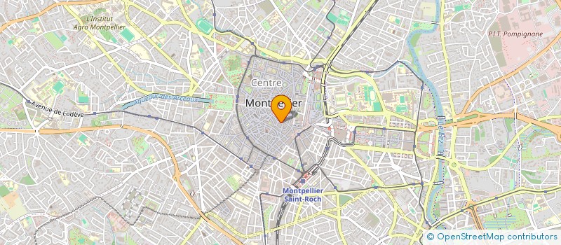 localisation de l'entreprise MONSIEUR REGIS GUICHARD à MONTPELLIER
