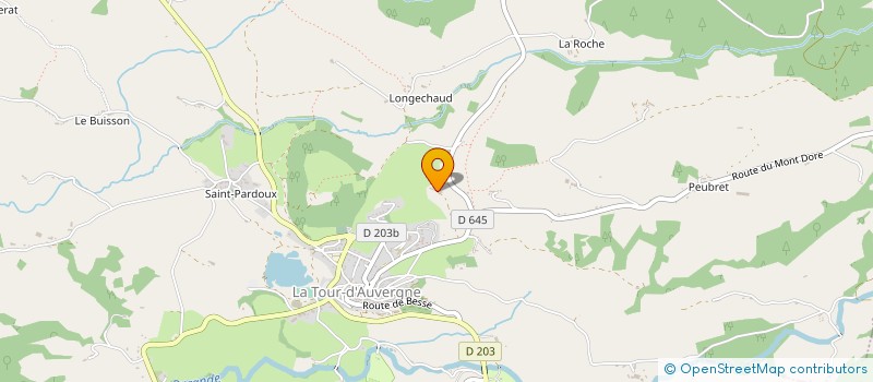 localisation de l'entreprise MONSIEUR REGIS MARCHETTO à LA TOUR D'AUVERGNE