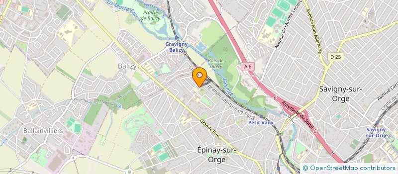 localisation de l'entreprise MONSIEUR REGIS MINDJOUCK  EPINAY-SUR-ORGE