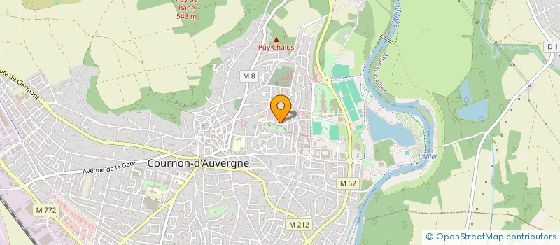 localisation de l'entreprise MONSIEUR REGIS NOUAILLE  COURNON-D'AUVERGNE