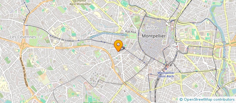 localisation de l'entreprise MONSIEUR REGIS PAIN à MONTPELLIER