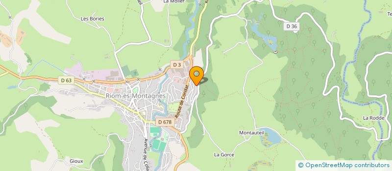 localisation de l'entreprise MONSIEUR REGIS RABOISSON à RIOM-ES-MONTAGNES
