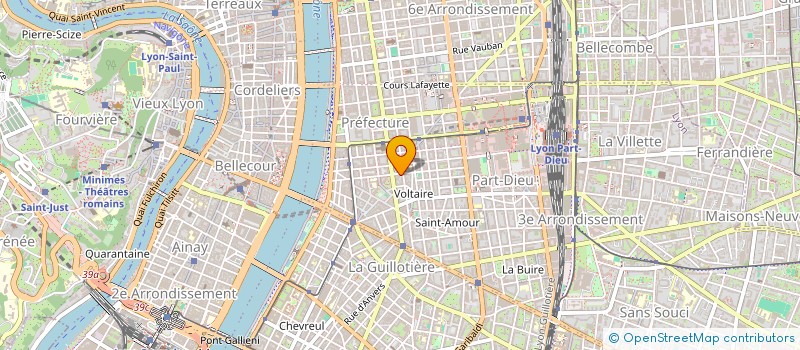 localisation de l'entreprise MONSIEUR REGIS REVERCHON  LYON