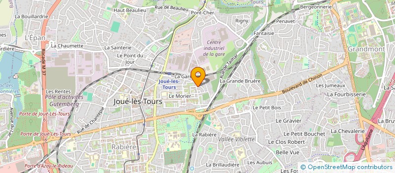 localisation de l'entreprise MONSIEUR REGIS TEYSSANDIER  JOUE-LES-TOURS