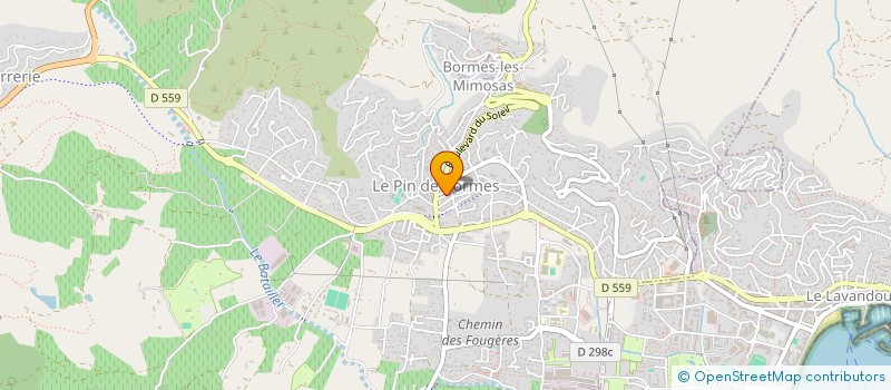 localisation de l'entreprise MONSIEUR REGIS TROIN à BORMES-LES-MIMOSAS