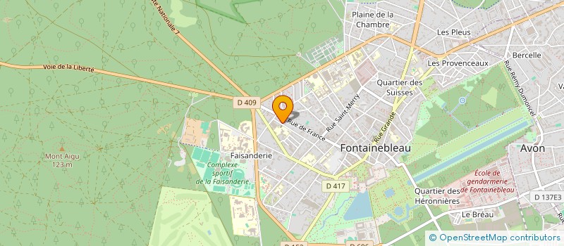 localisation de l'entreprise MONSIEUR REGIS VINCENT à FONTAINEBLEAU