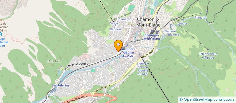 localisation de l'entreprise MONSIEUR REGIS YESSAYAN  CHAMONIX-MONT-BLANC