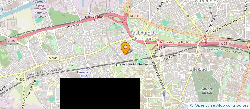 localisation de l'entreprise MONSIEUR REMI AWAD à LILLE