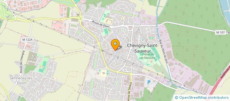 localisation de l'entreprise MONSIEUR REMI BILLIOT  CHEVIGNY-SAINT-SAUVEUR