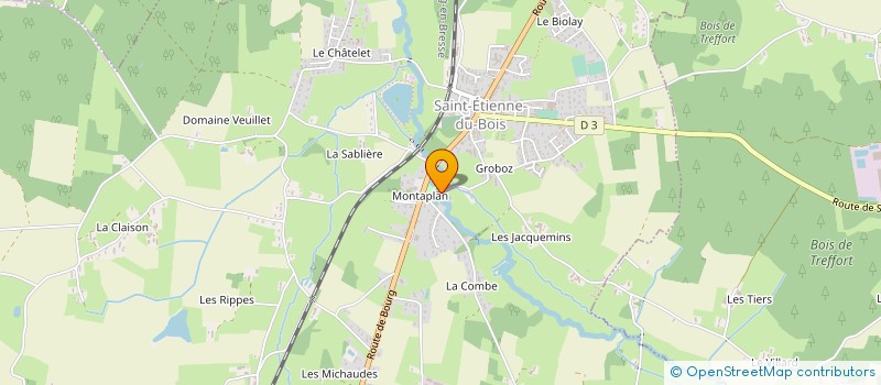 localisation de l'entreprise MONSIEUR REMI BLONDIN  SAINT-ETIENNE-DU-BOIS