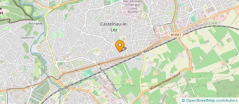 localisation de l'entreprise MONSIEUR REMI BOURRU à CASTELNAU-LE-LEZ