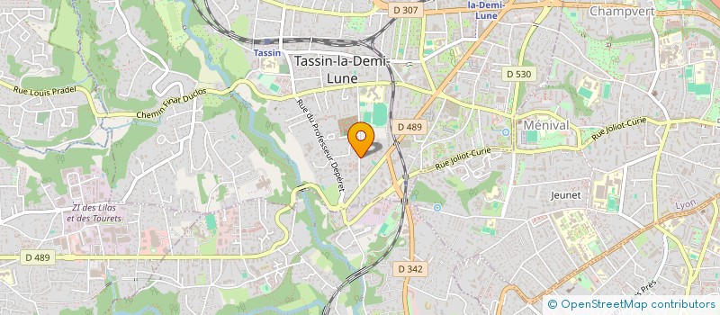 localisation de l'entreprise MONSIEUR REMI BOYER  TASSIN-LA-DEMI-LUNE