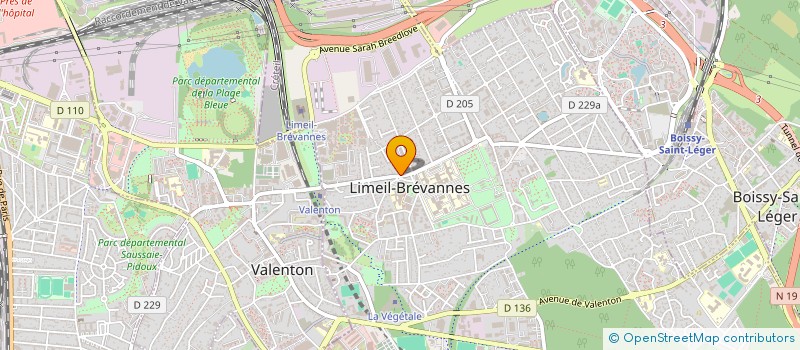 localisation de l'entreprise MONSIEUR REMI BRUGNEL à LIMEIL-BREVANNES