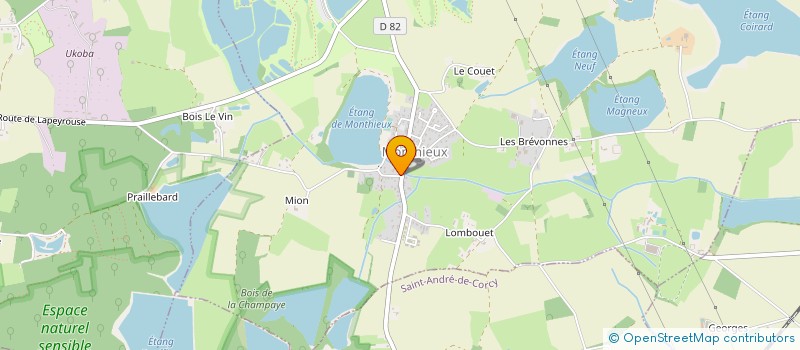 localisation de l'entreprise MONSIEUR REMI CAIRE  MONTHIEUX