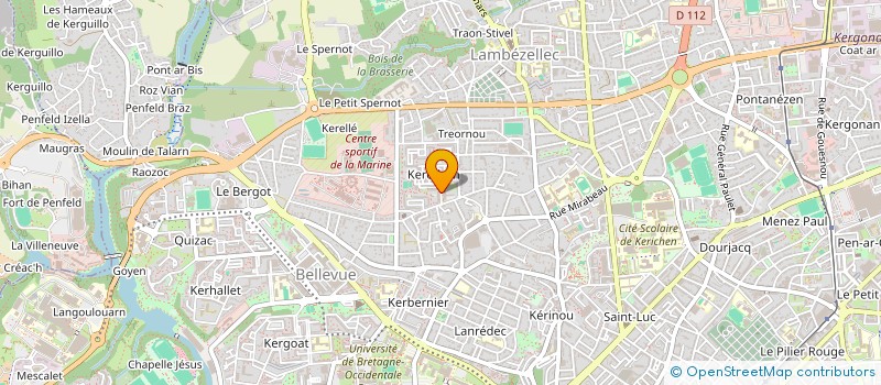 localisation de l'entreprise MONSIEUR REMI CLOITRE à BREST