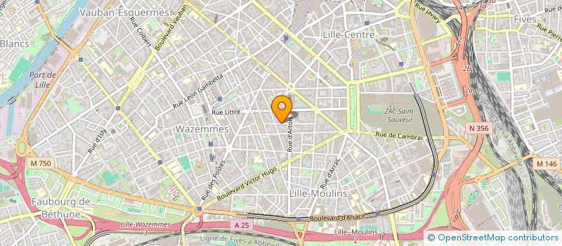 localisation de l'entreprise MONSIEUR REMI COPPENS à LILLE