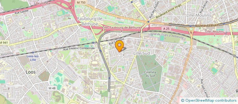 localisation de l'entreprise MONSIEUR REMI DANOUF à LILLE