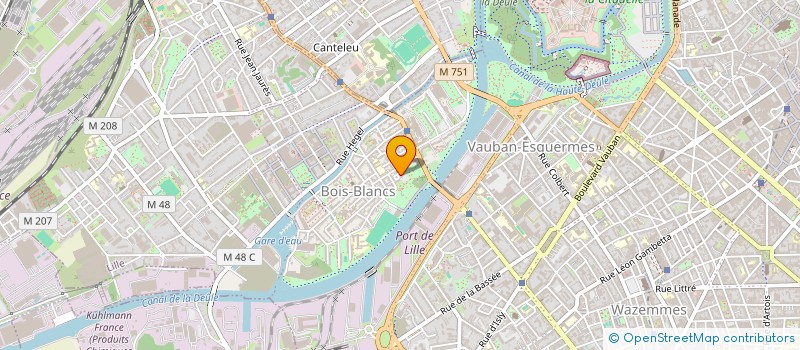 localisation de l'entreprise MONSIEUR REMI DEBUS  LILLE