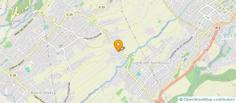 localisation de l'entreprise MONSIEUR REMI DELAUNAY  SAINT-PIERRE