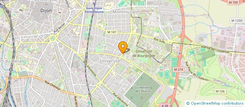 localisation de l'entreprise MONSIEUR REMI DELMAS à DIJON