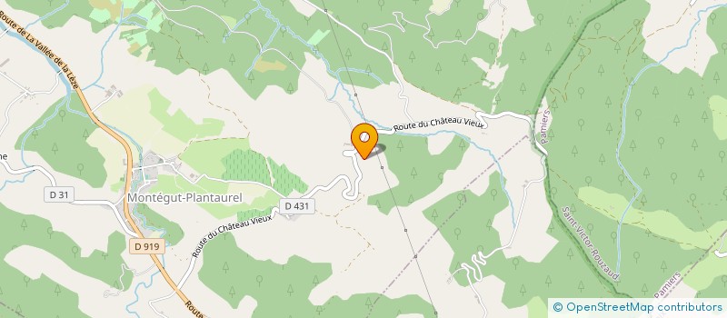 localisation de l'entreprise MONSIEUR REMI DENJEAN à MONTEGUT-PLANTAUREL