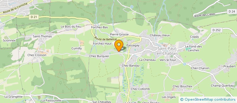 localisation de l'entreprise MONSIEUR REMI DEVULDER  SAINT-PAUL-EN-CHABLAIS