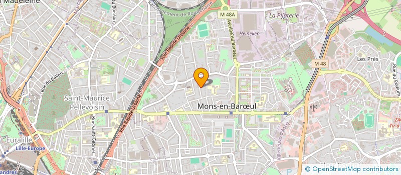 localisation de l'entreprise MONSIEUR REMI DUCHATELET  MONS-EN-BARUL