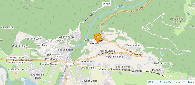 localisation de l'entreprise MONSIEUR REMI DUCIMETIERE à TANINGES