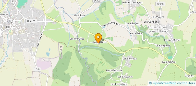 localisation de l'entreprise MONSIEUR REMI DUCROCQ  EGLISENEUVE-PRES-BILLOM