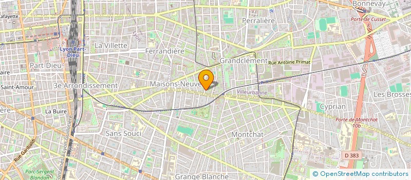 localisation de l'entreprise MONSIEUR REMI FLEUTIAUX  VILLEURBANNE