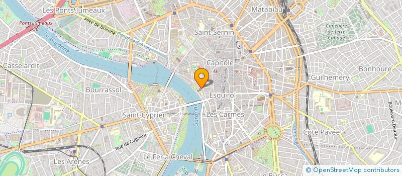 localisation de l'entreprise MONSIEUR REMI GEORGEL  TOULOUSE