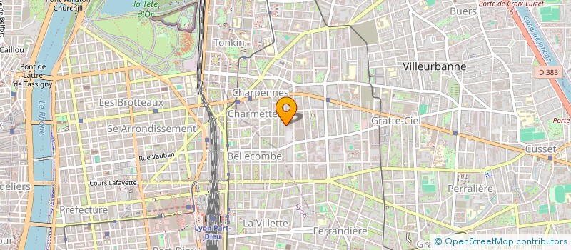 localisation de l'entreprise MONSIEUR REMI GUERIN  VILLEURBANNE