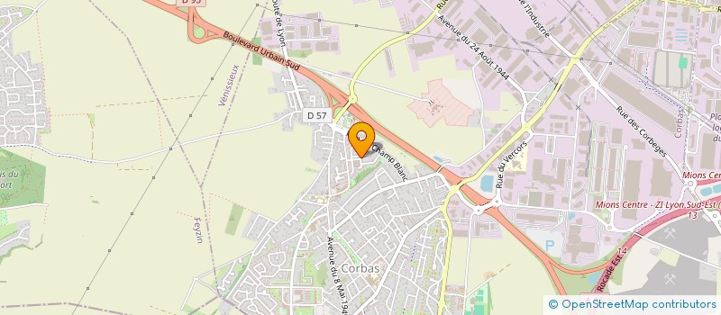 localisation de l'entreprise MONSIEUR REMI LANNOY à CORBAS