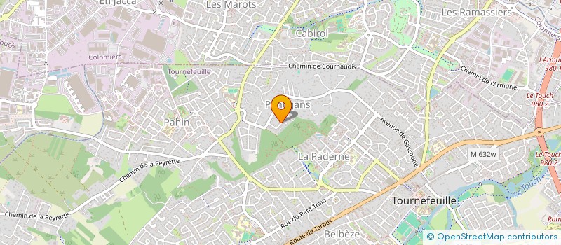 localisation de l'entreprise MONSIEUR REMI LARICE à TOURNEFEUILLE