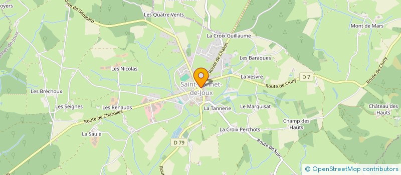 localisation de l'entreprise MONSIEUR REMI LEBEAU à SAINT-BONNET-DE-JOUX
