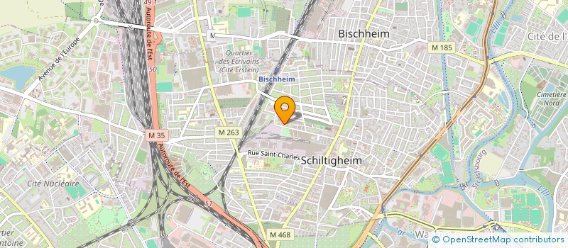 localisation de l'entreprise MONSIEUR REMI LEJZEROWICZ  SCHILTIGHEIM