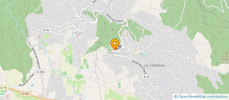 localisation de l'entreprise MONSIEUR REMI MANKAI  MONTAUROUX