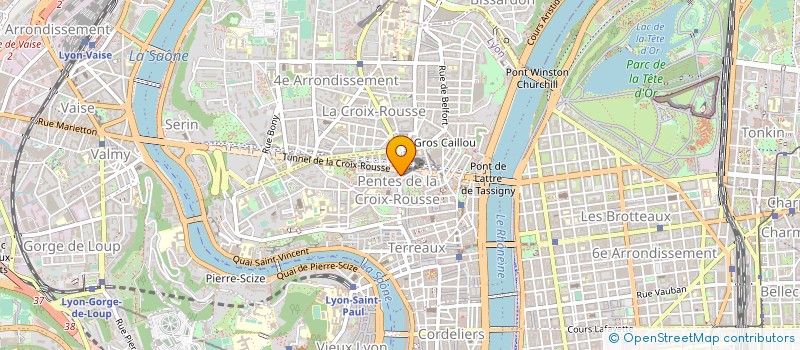 localisation de l'entreprise MONSIEUR REMI MAZIERE à LYON
