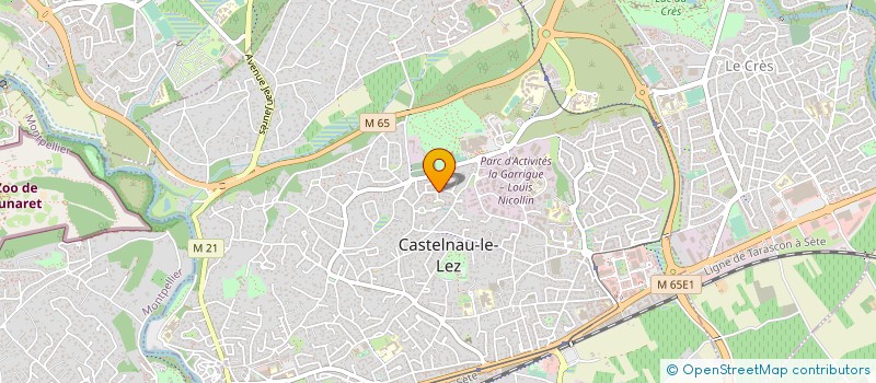 localisation de l'entreprise MONSIEUR REMI MOINE  CASTELNAU-LE-LEZ