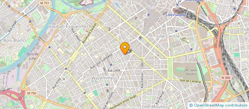 localisation de l'entreprise MONSIEUR REMI MOURET à LILLE